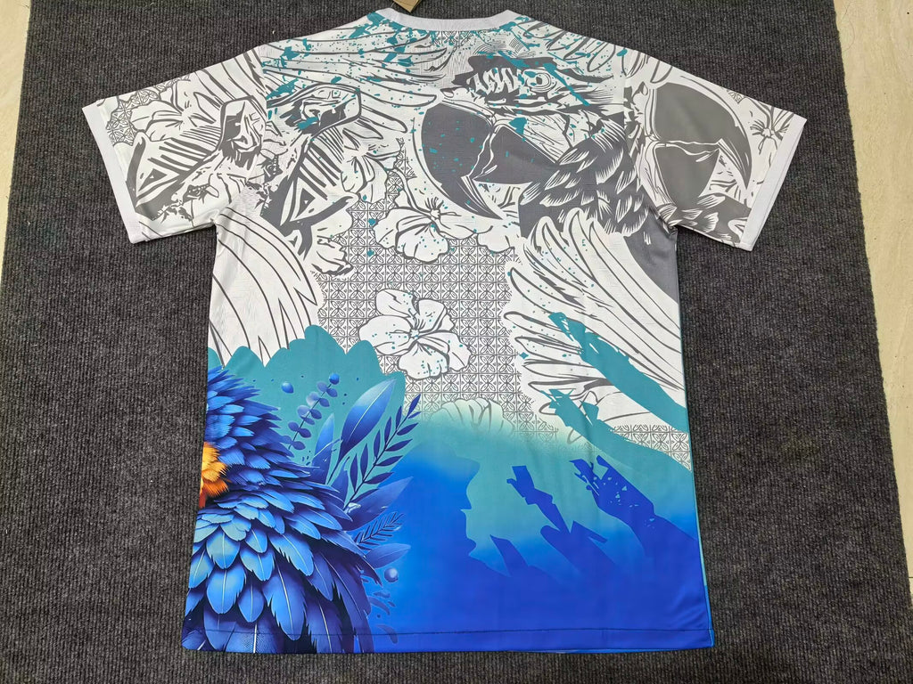 25-26 Brésil spécial (fans version)