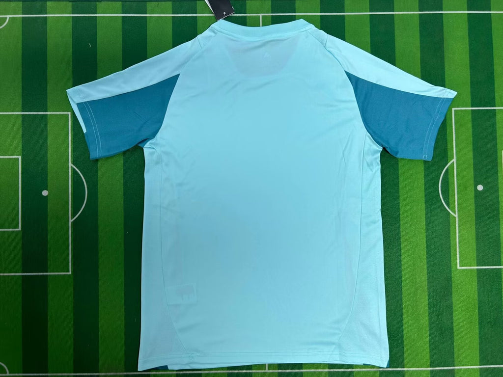 25-26 Cruzeiro Entraînement (fan version)