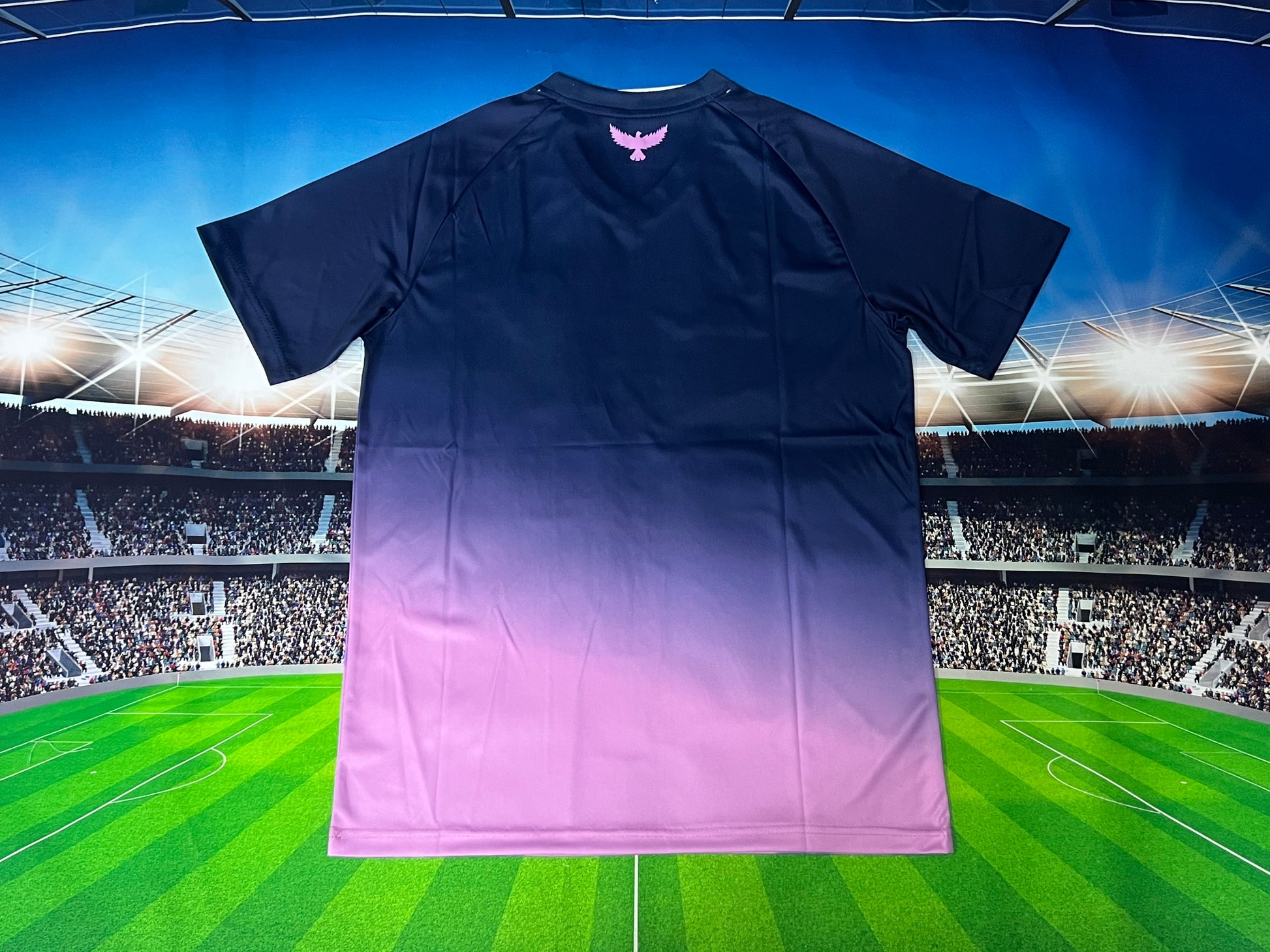 24-25 Tunisie Concept (Fan Version)