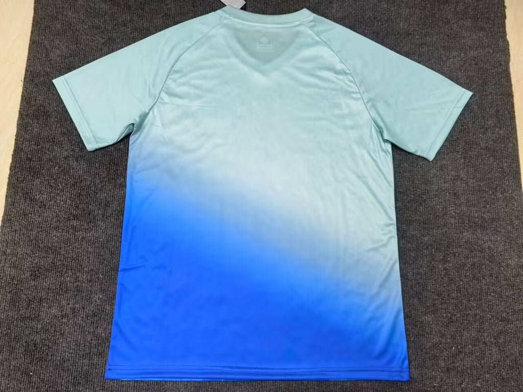 24-25 Tunisie Concept (Fan Version)