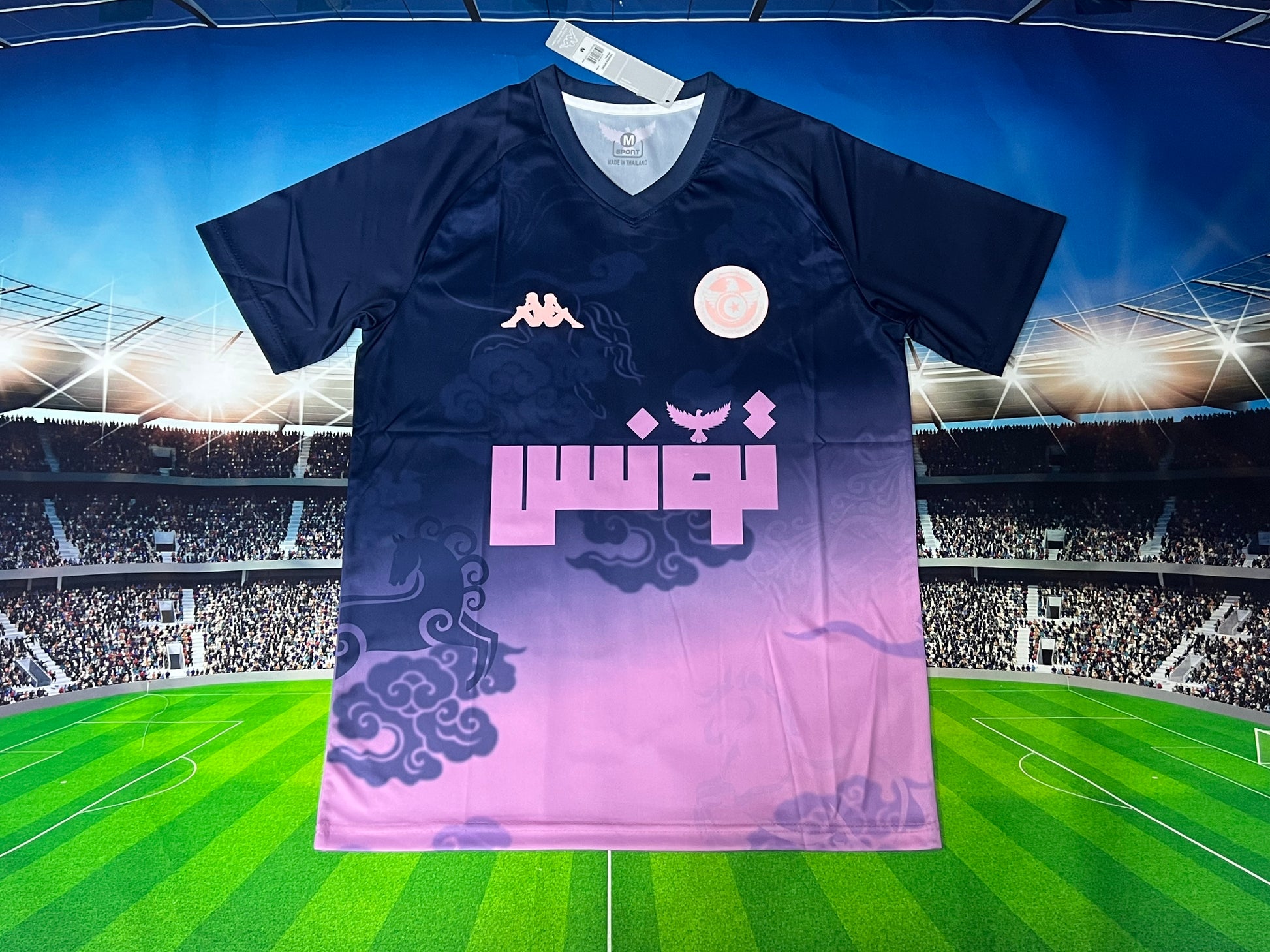 24-25 Tunisie Concept (Fan Version)