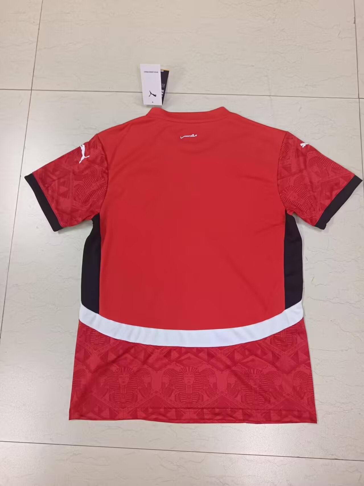 23-24 Egypte Domicile (Fan Version)