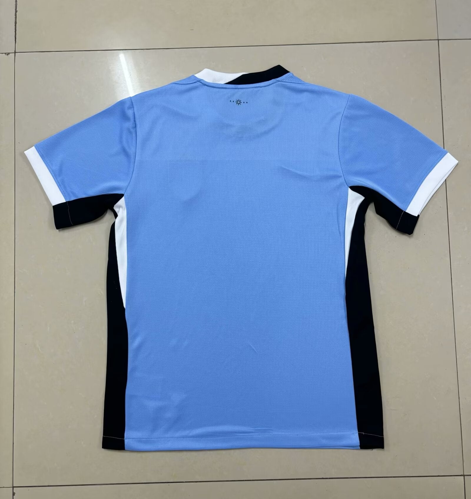 23-24 Uruguay Domicile (Fan Version)