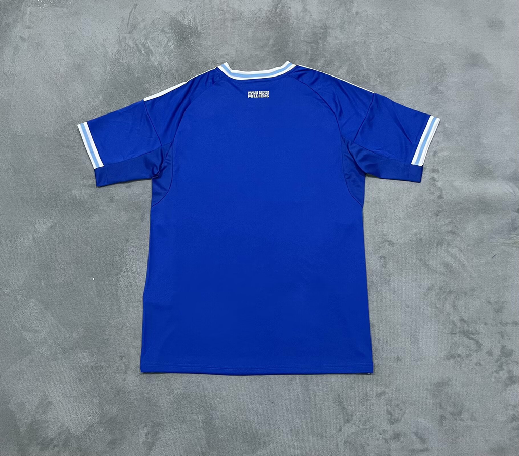 25-26 Strasbourg Domicile (Fan Version)