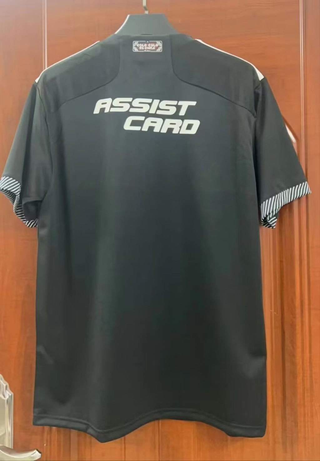 24-25 Colo-Colo Extérieur (fan version)