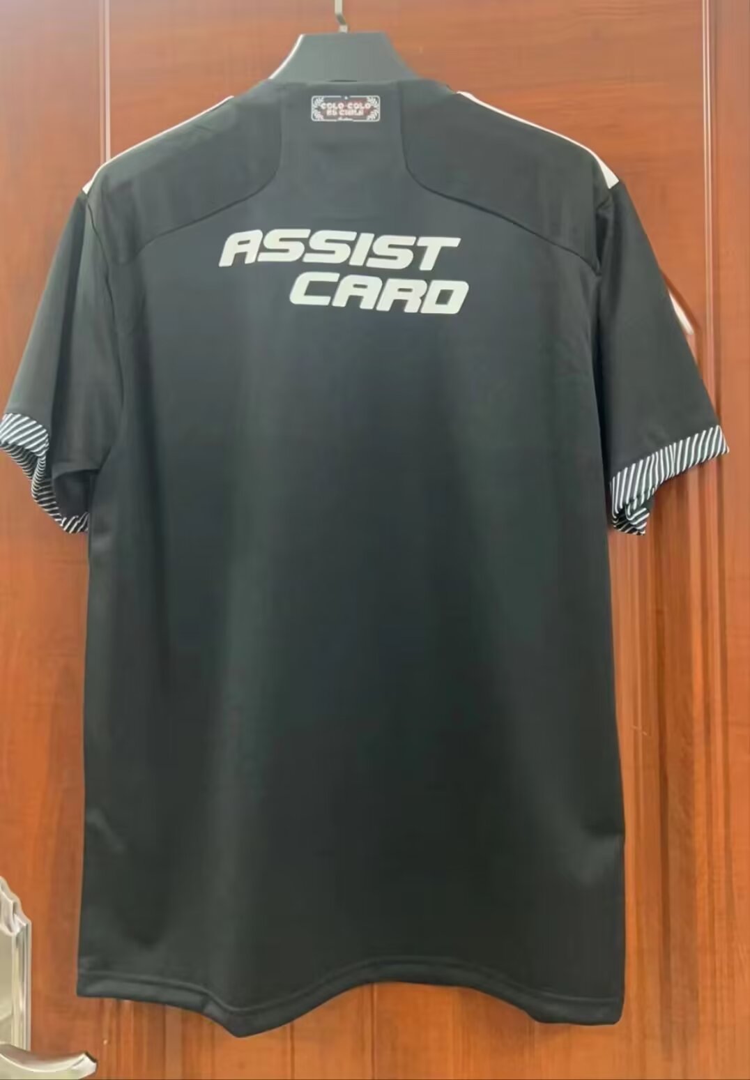 24-25 Colo-Colo Extérieur (fan version)