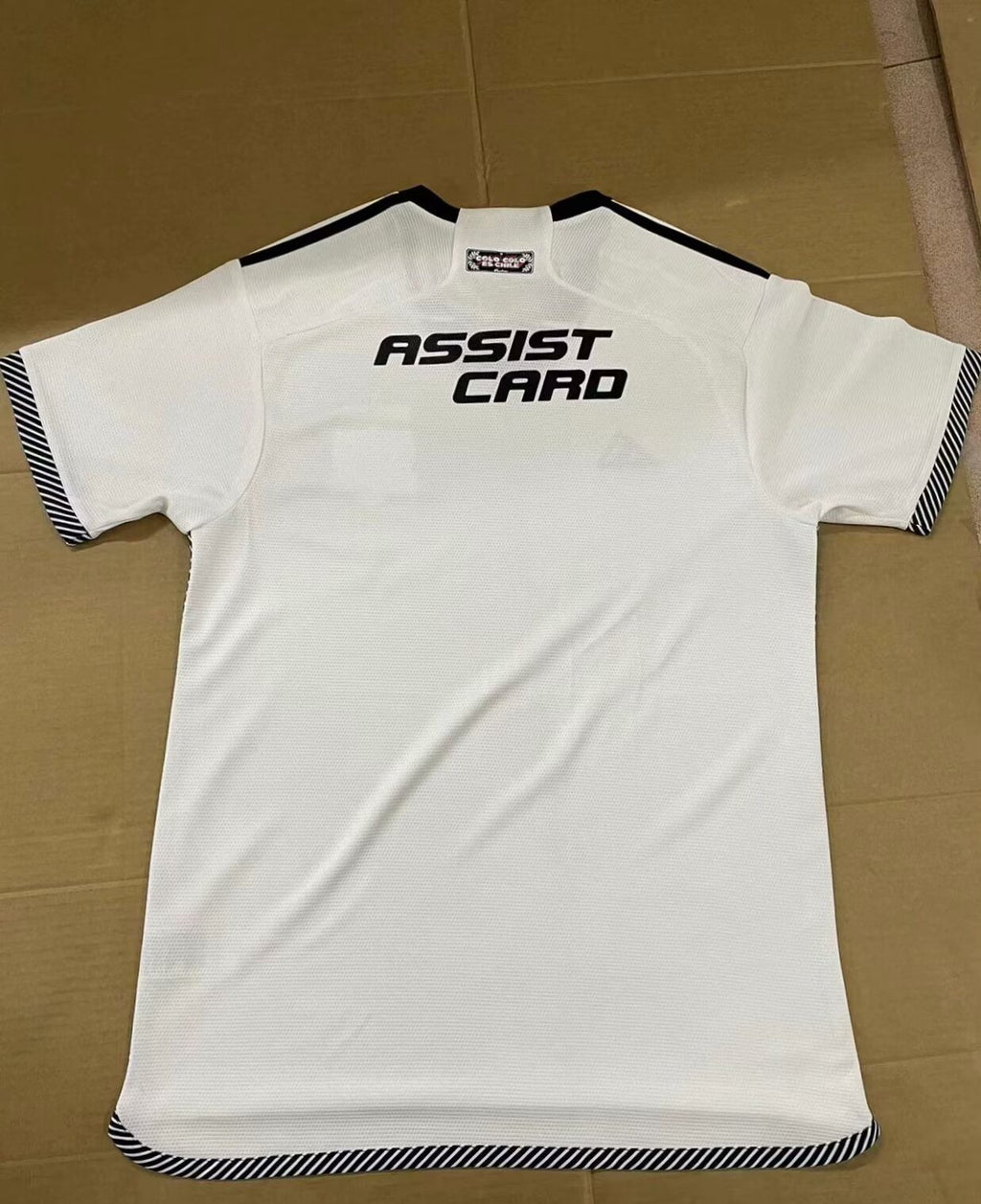 24-25 Colo-Colo Domicile (fan version)