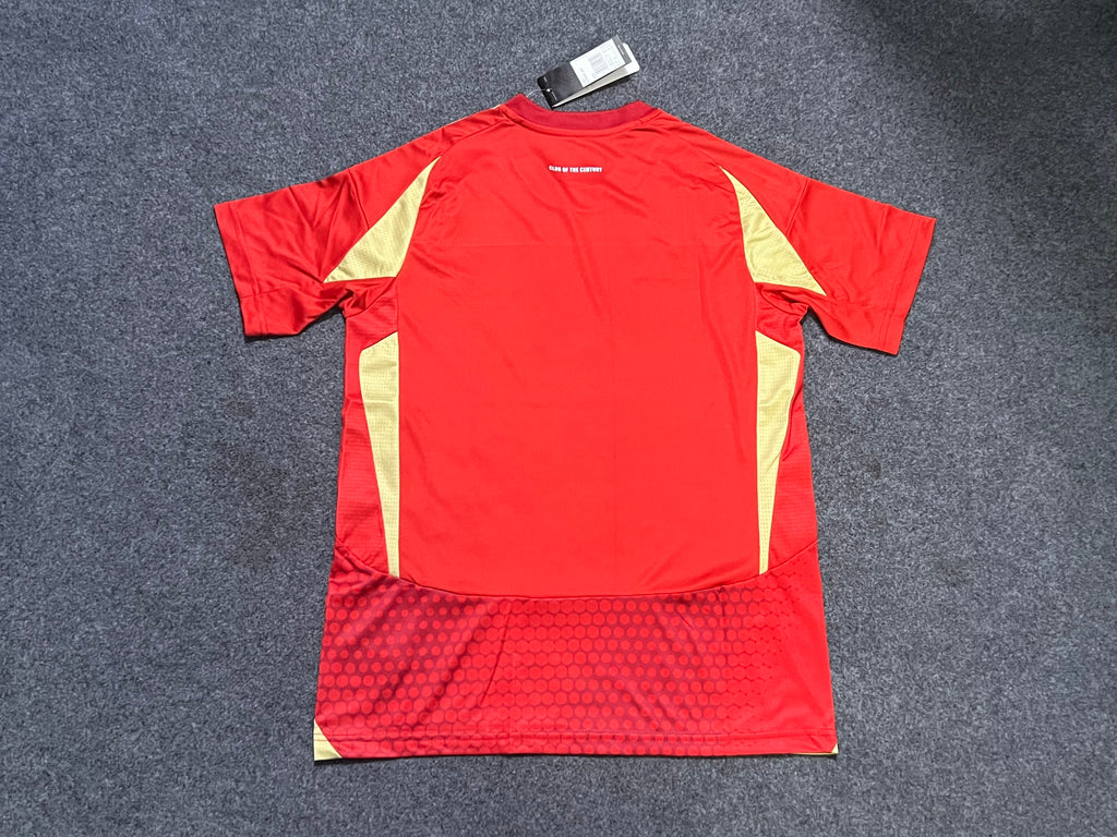 24-25 Al Ahly Domicile (fan version)