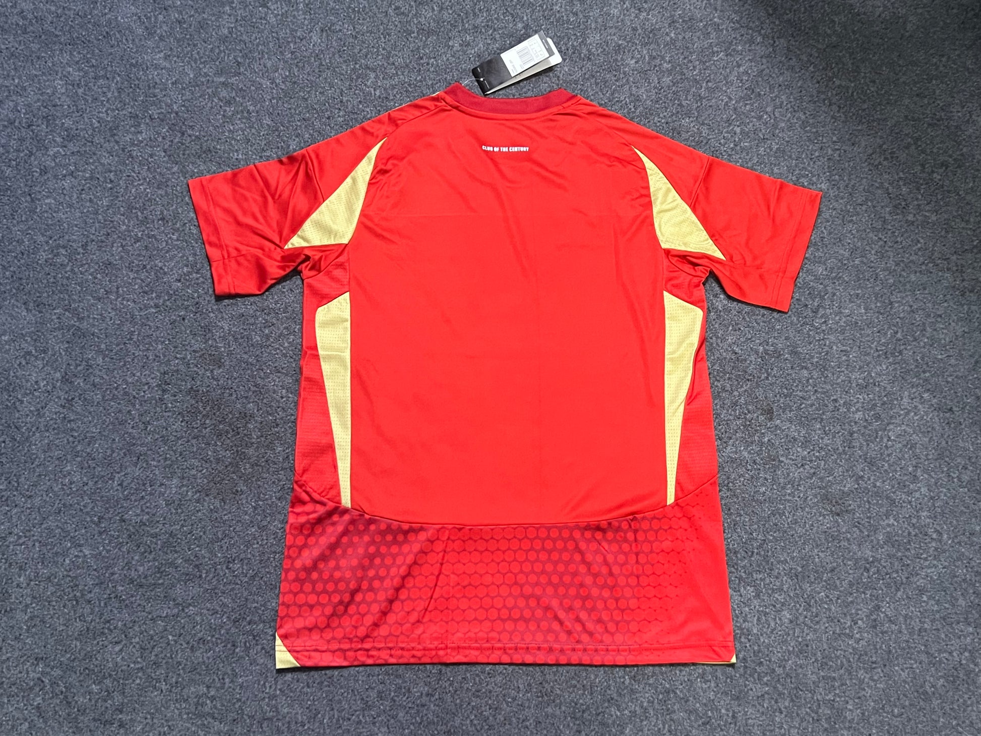 24-25 Al Ahly Domicile (fan version)