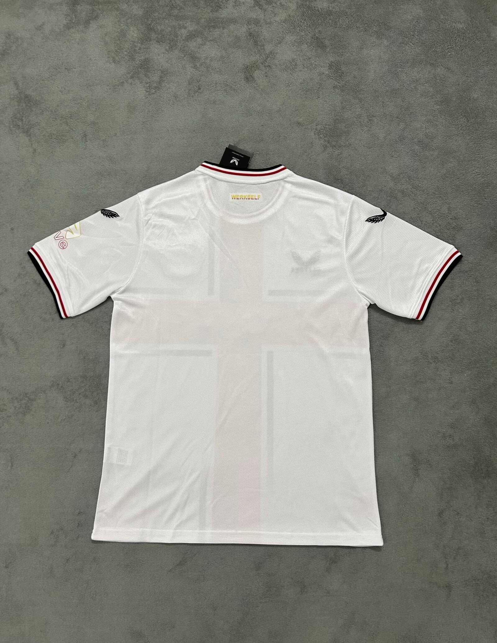 24-25 Bayer Leverkusen Anniversaire (Fan Version)