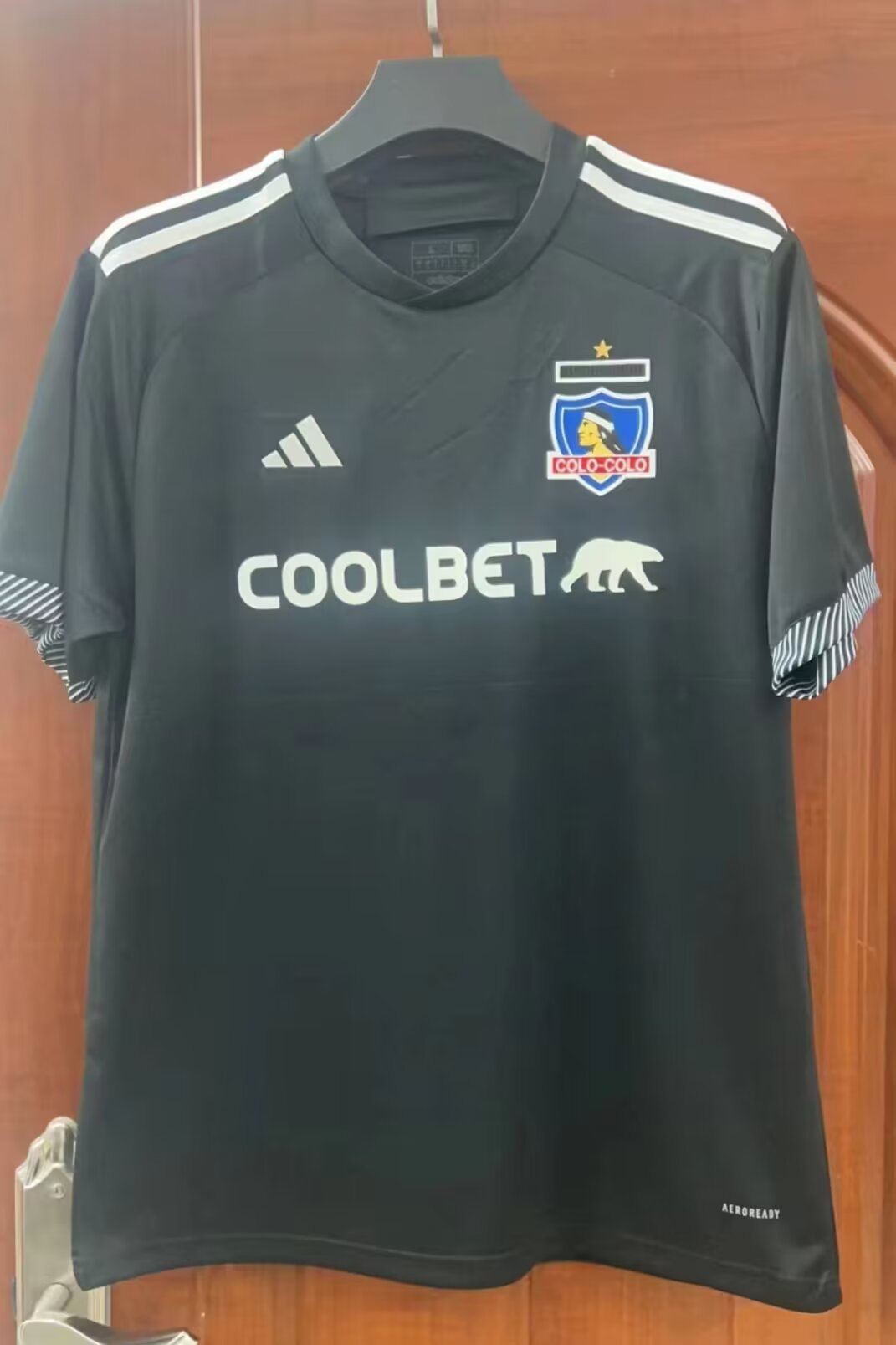24-25 Colo-Colo Extérieur (fan version)