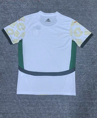 23-24 Côte d'Ivoire Extérieur (Fan Version)