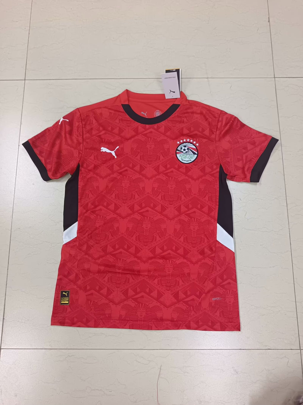 23-24 Egypte Domicile (Fan Version)