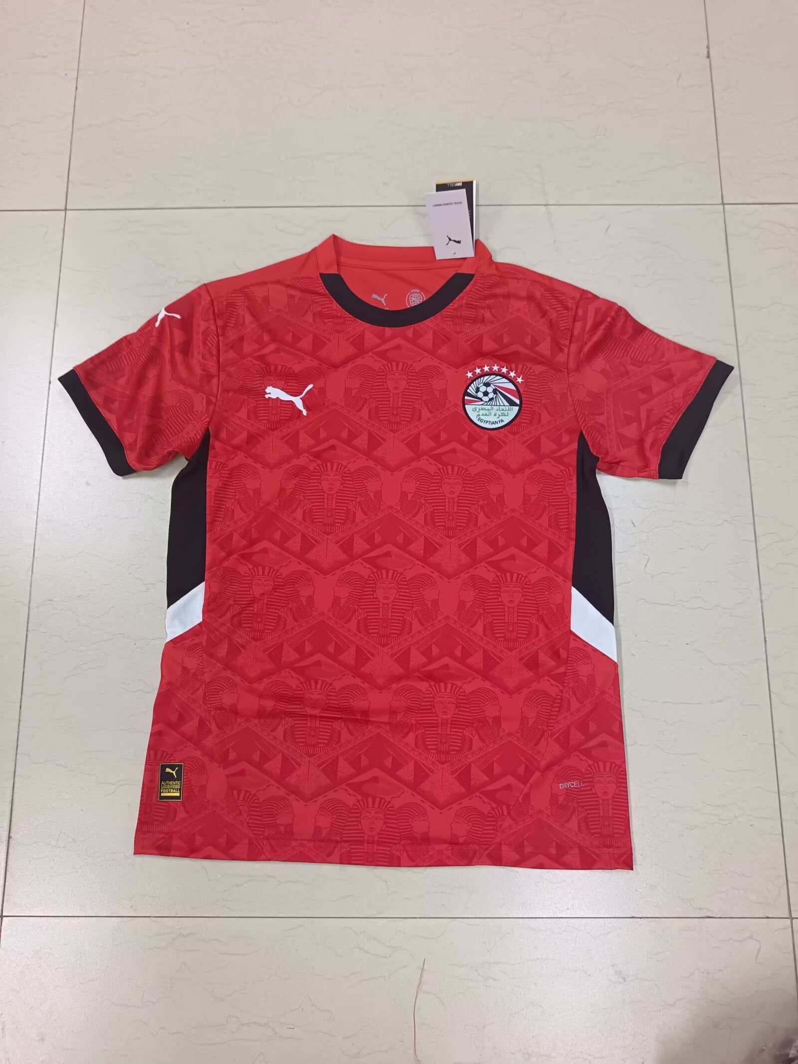 23-24 Egypte Domicile (Fan Version)