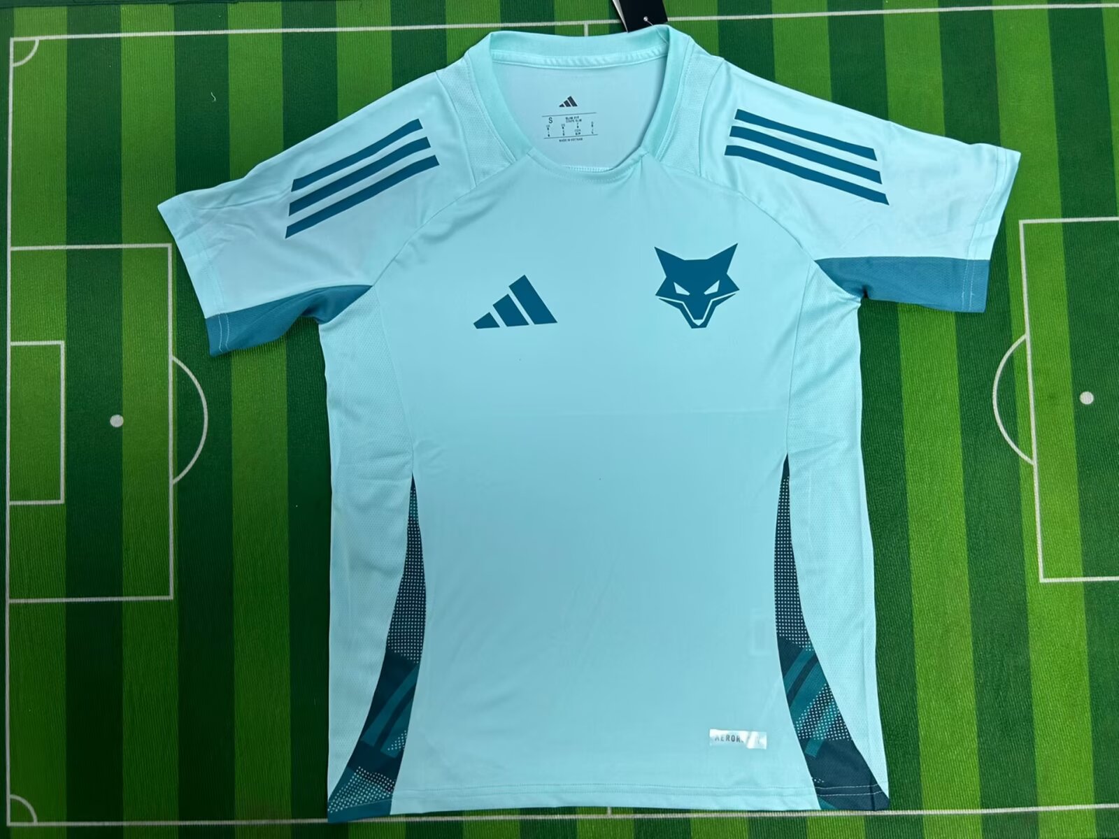 25-26 Cruzeiro Entraînement (fan version)