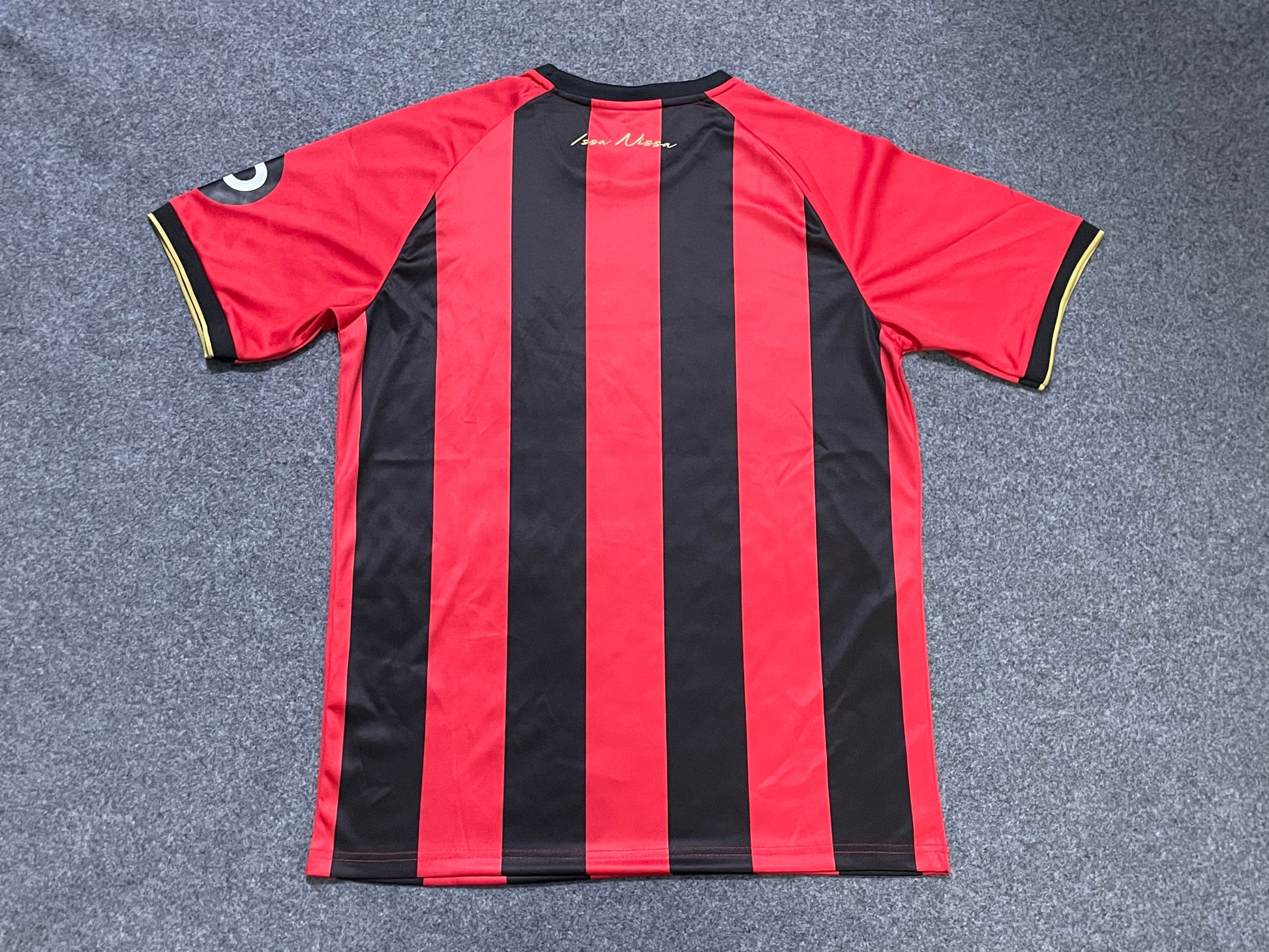 24-25 OGC Nice Domicile (Fan Version)