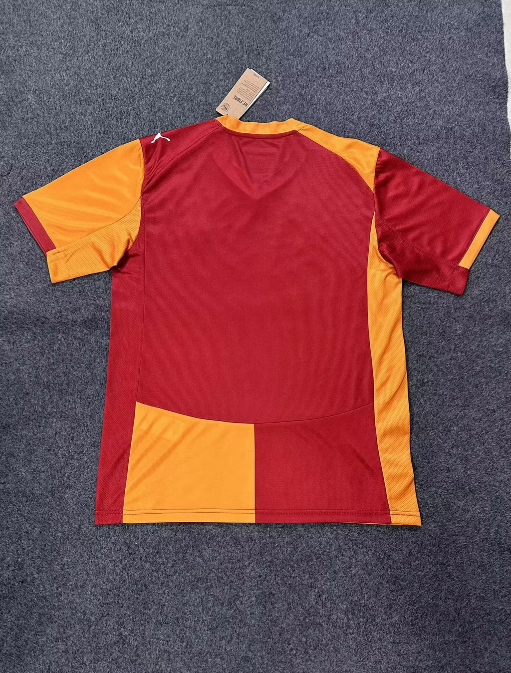 25-26 Galatasaray Domicile (Fan Version)