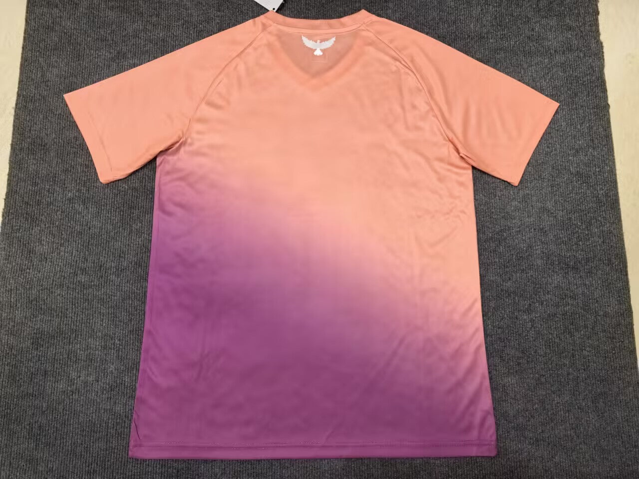 24-25 Tunisie Concept (Fan Version)