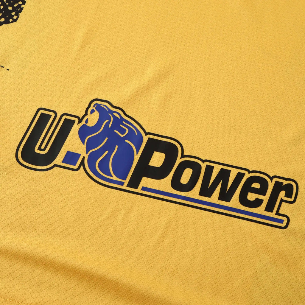 24-25 Inter Third (Fan Version)