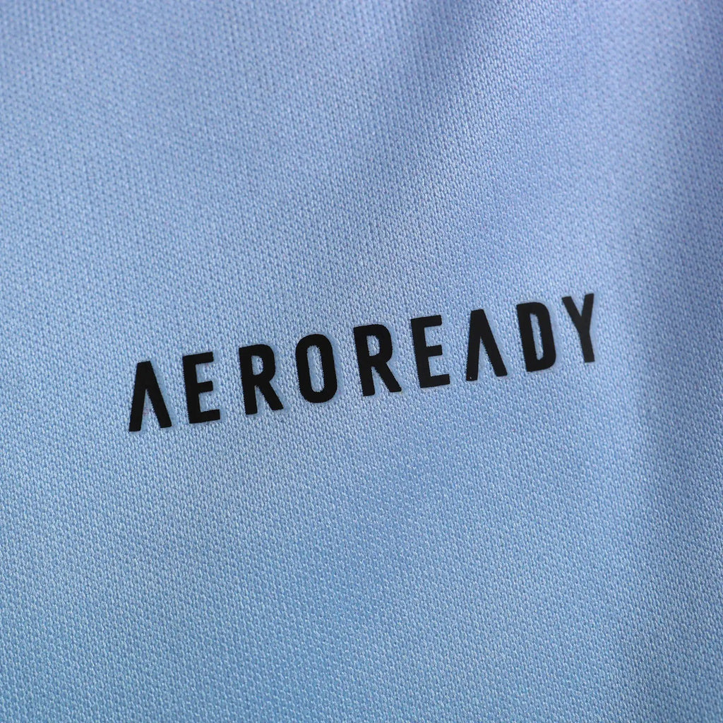 24-25 Arsenal Extérieur (Fan Version)