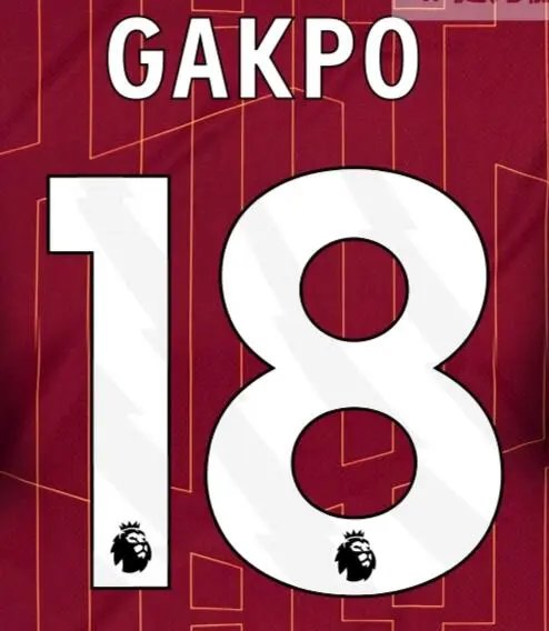 24-25 Liverpool Domicile [Player Version]