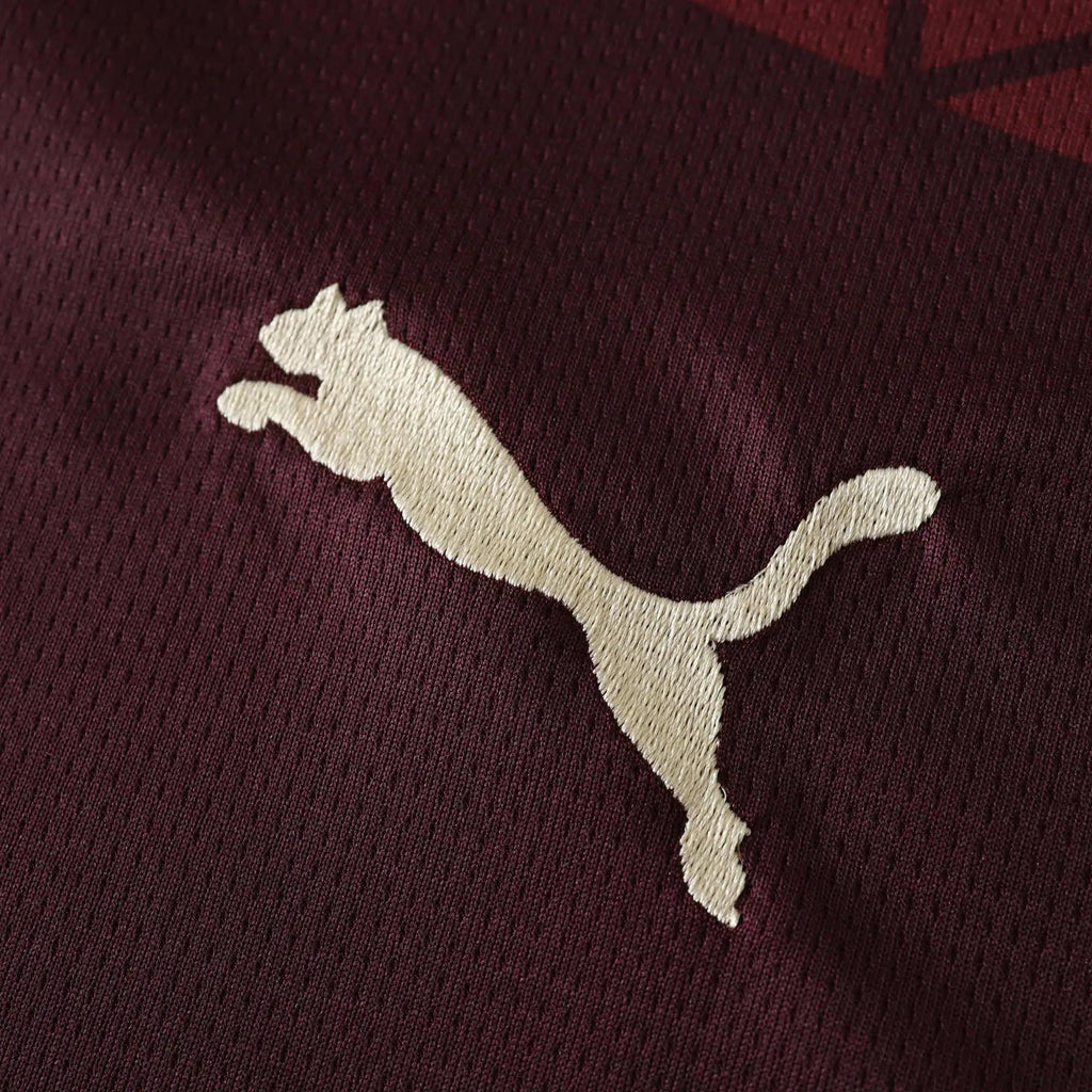 24-25 Manchester City Third (Fan Edition)