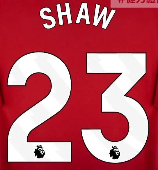 24-25 Manchester United Extérieur [Player Version]