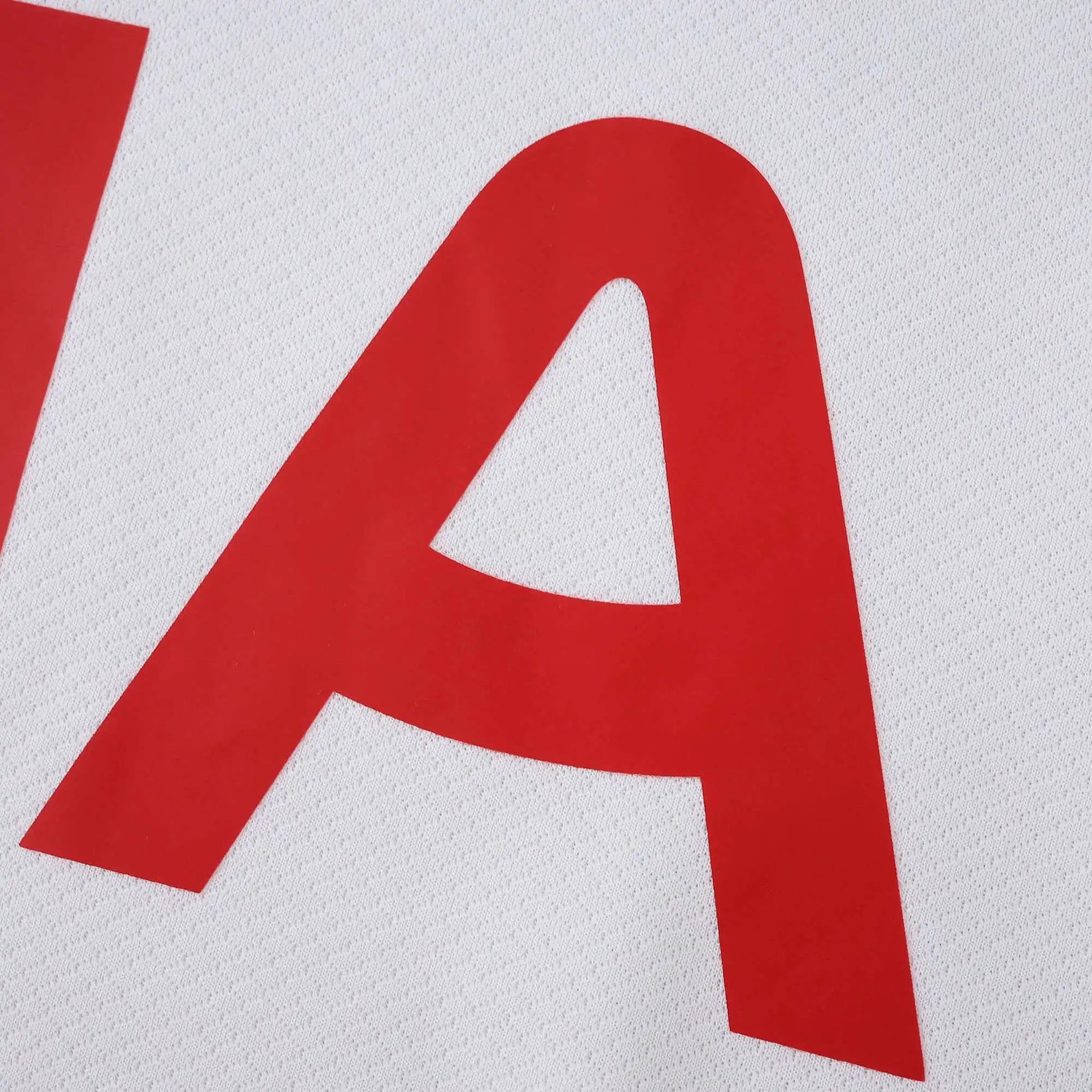 25-26 Tottenham Hotspur Domicile (Fan Edition)