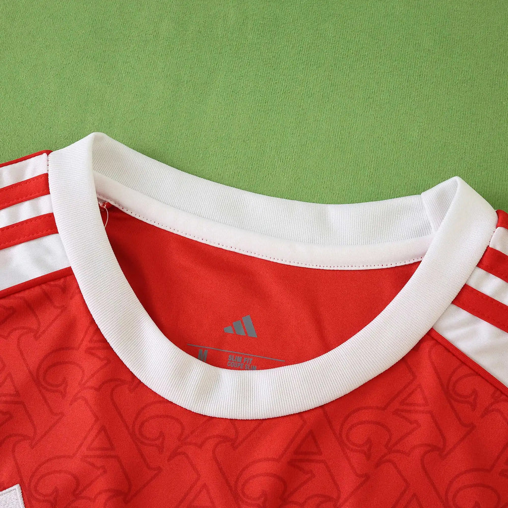 25-26 Arsenal Domicile (Fan Version)