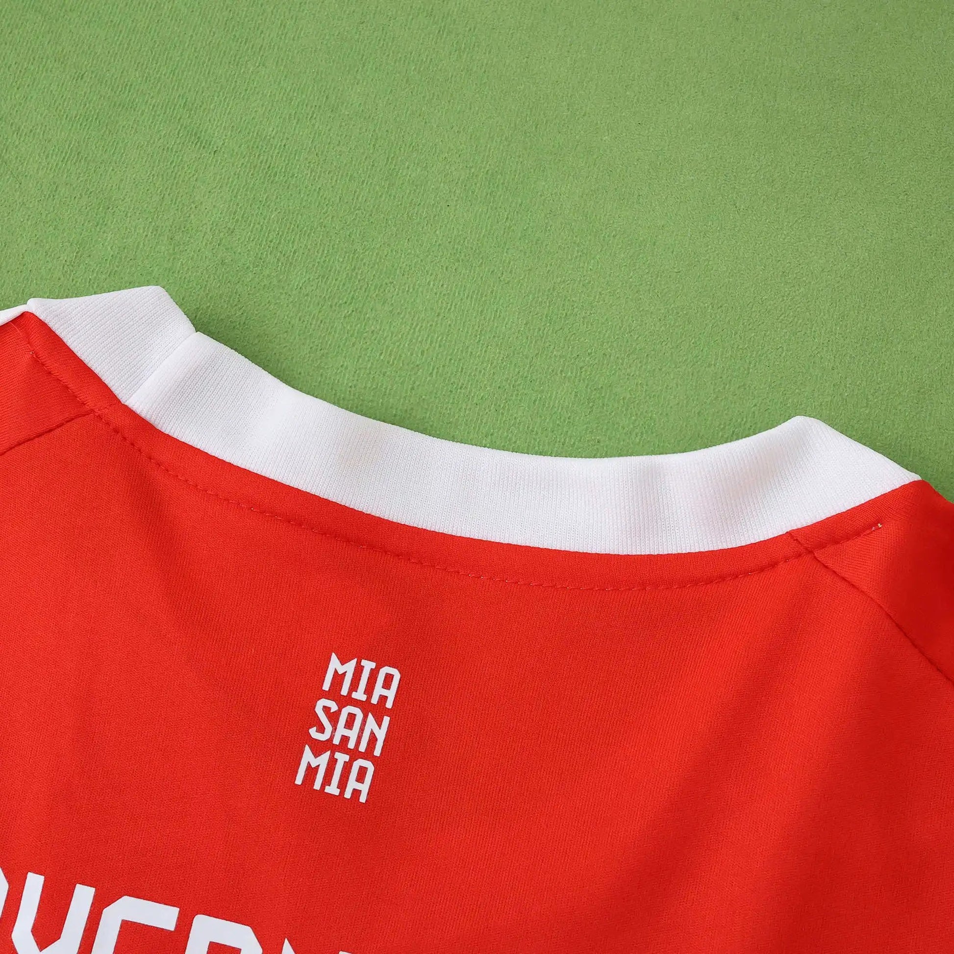 25-26 Bayern Domicile (Fan Version)