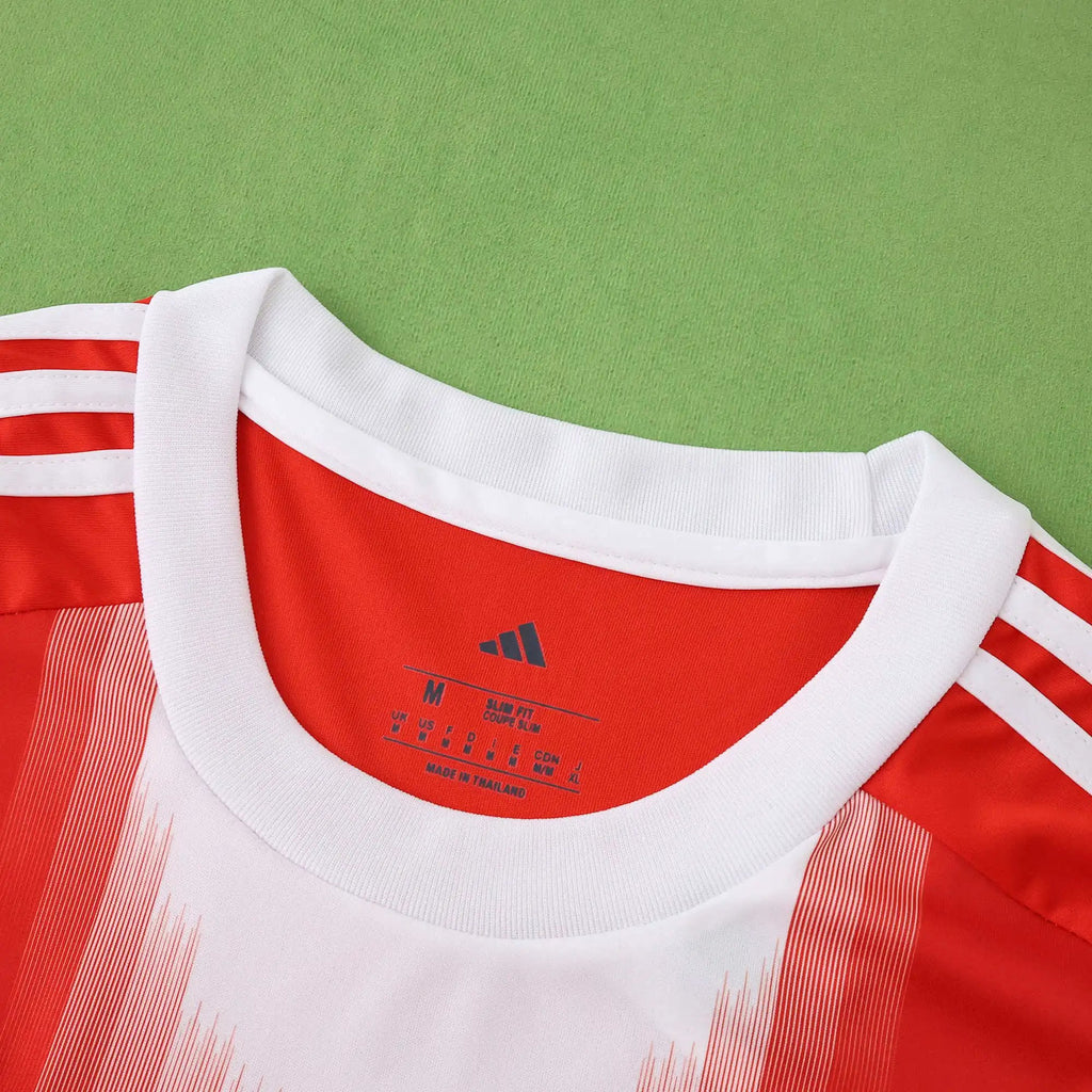 25-26 Bayern Domicile (Fan Version)