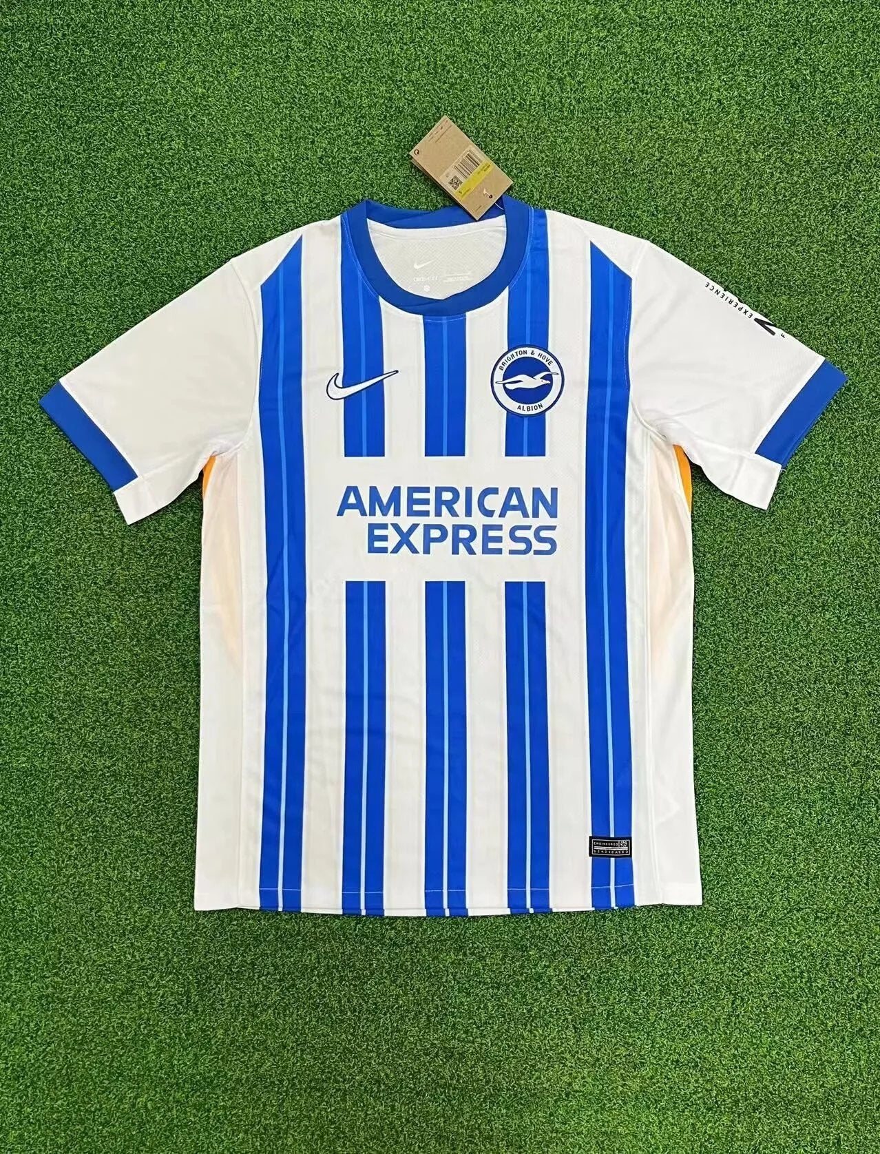 24-25 Brighton Domicile (Fan Version)