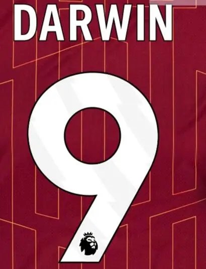 24-25 Liverpool Extérieur (Fan Edition)