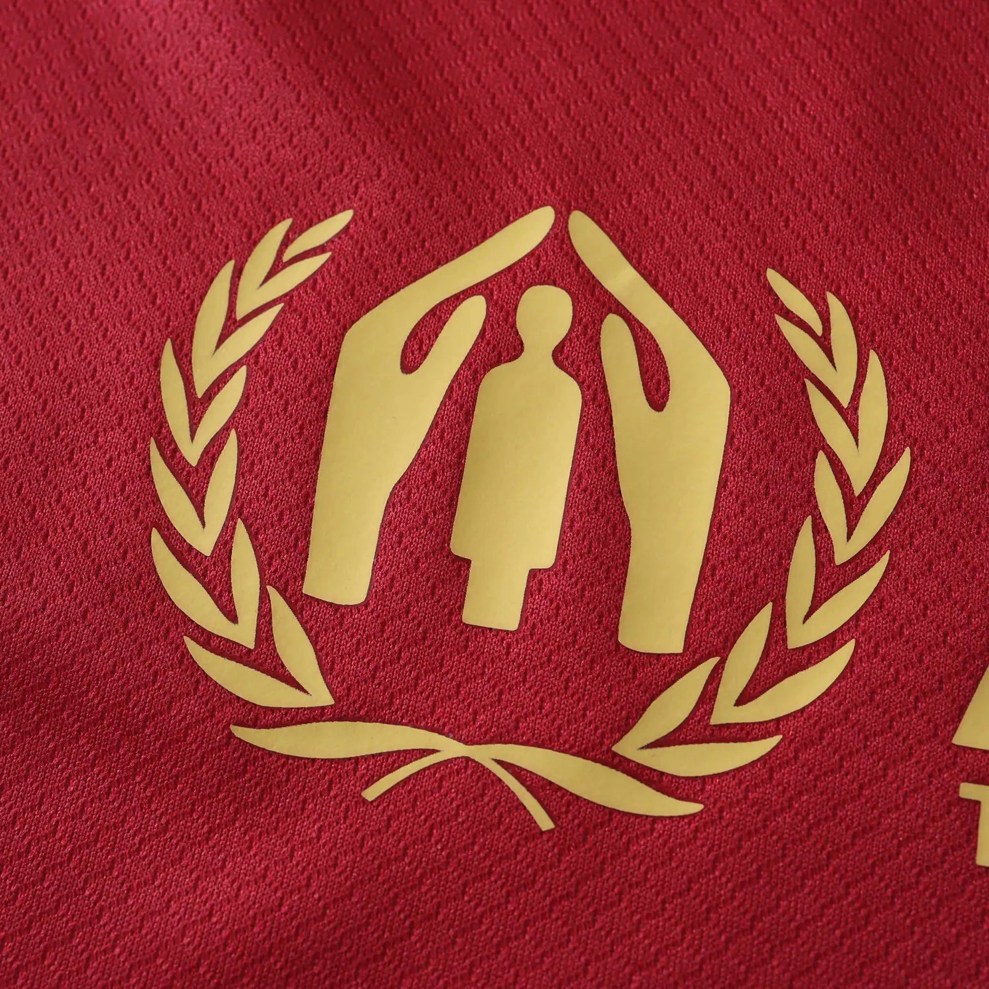 24-25 FC Barcelone Domicile (Fan Edition)