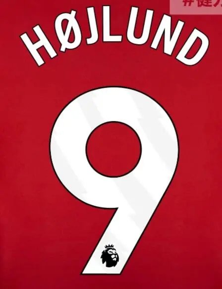 24-25 Manchester United Extérieur [Player Version]