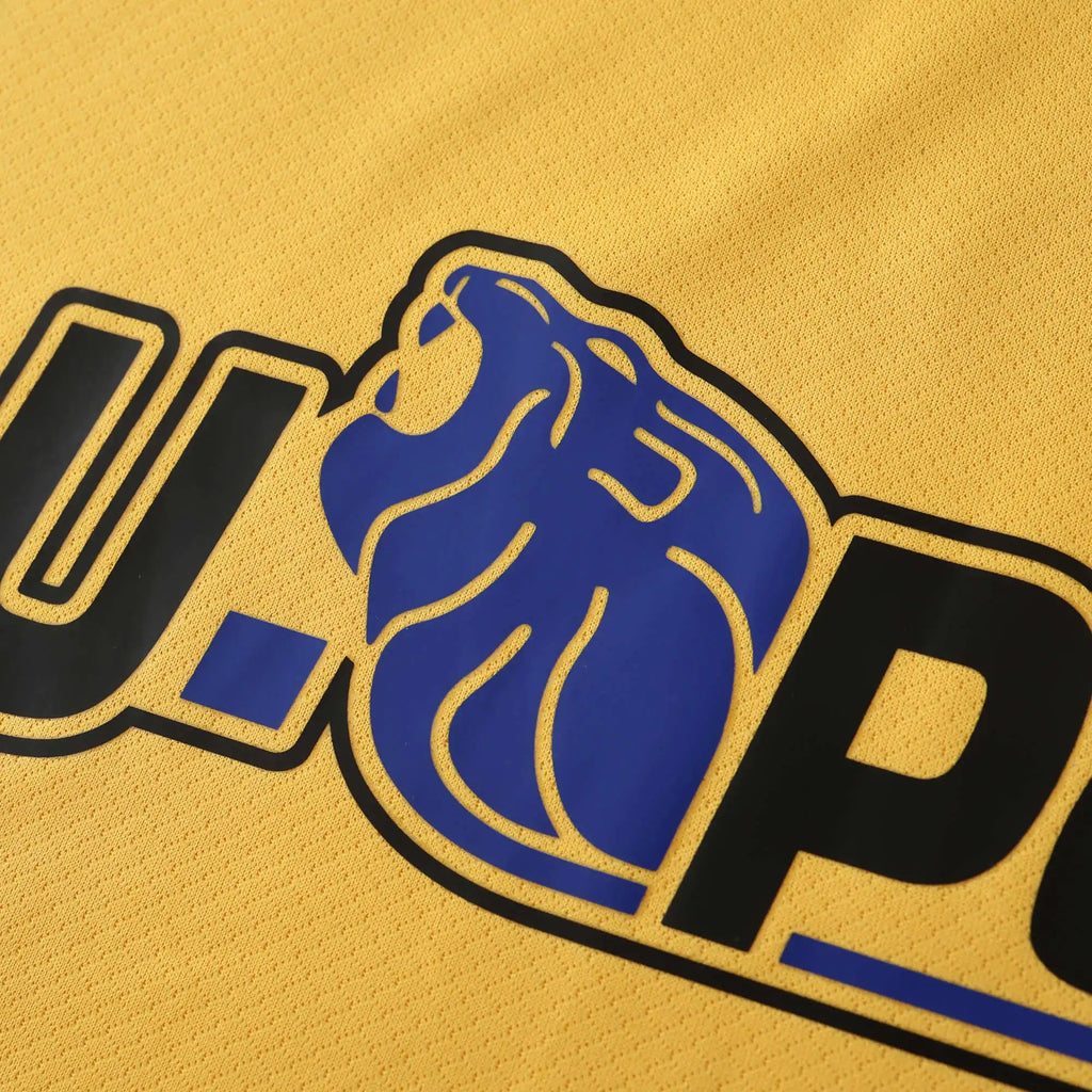 24-25 Inter Third (Fan Version)