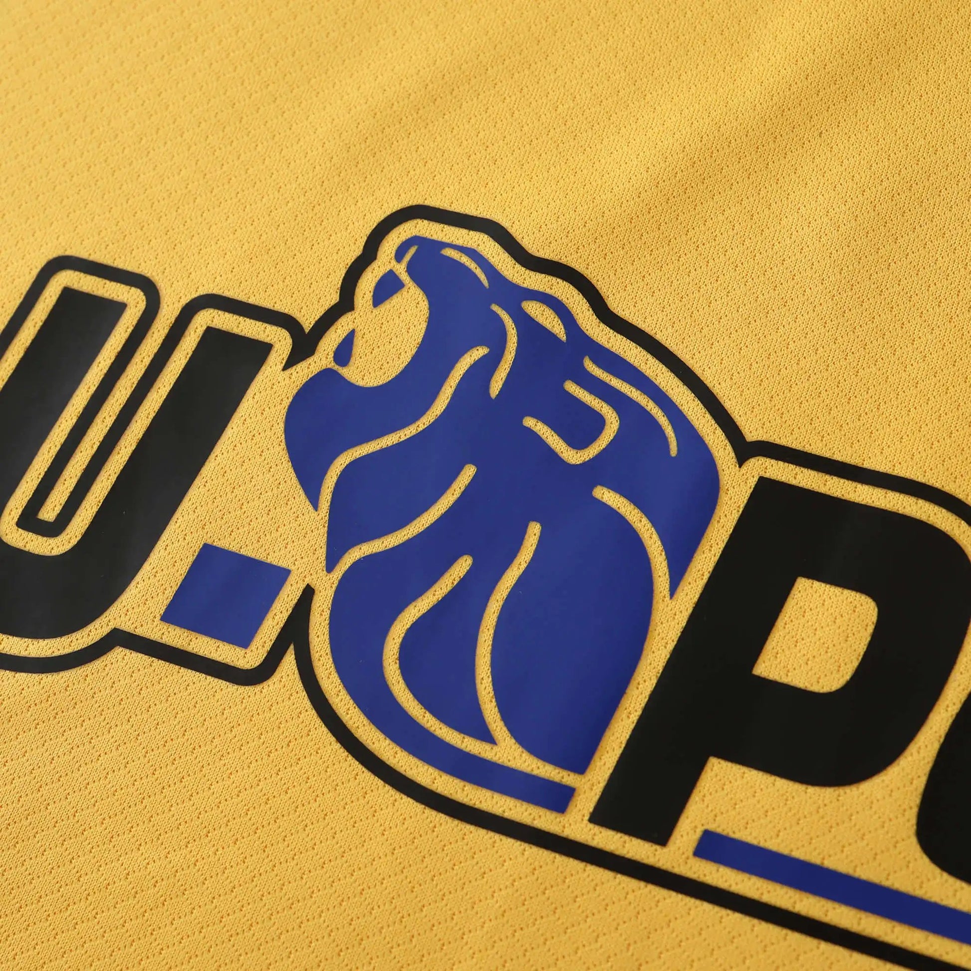 24-25 Inter Third (Fan Version)