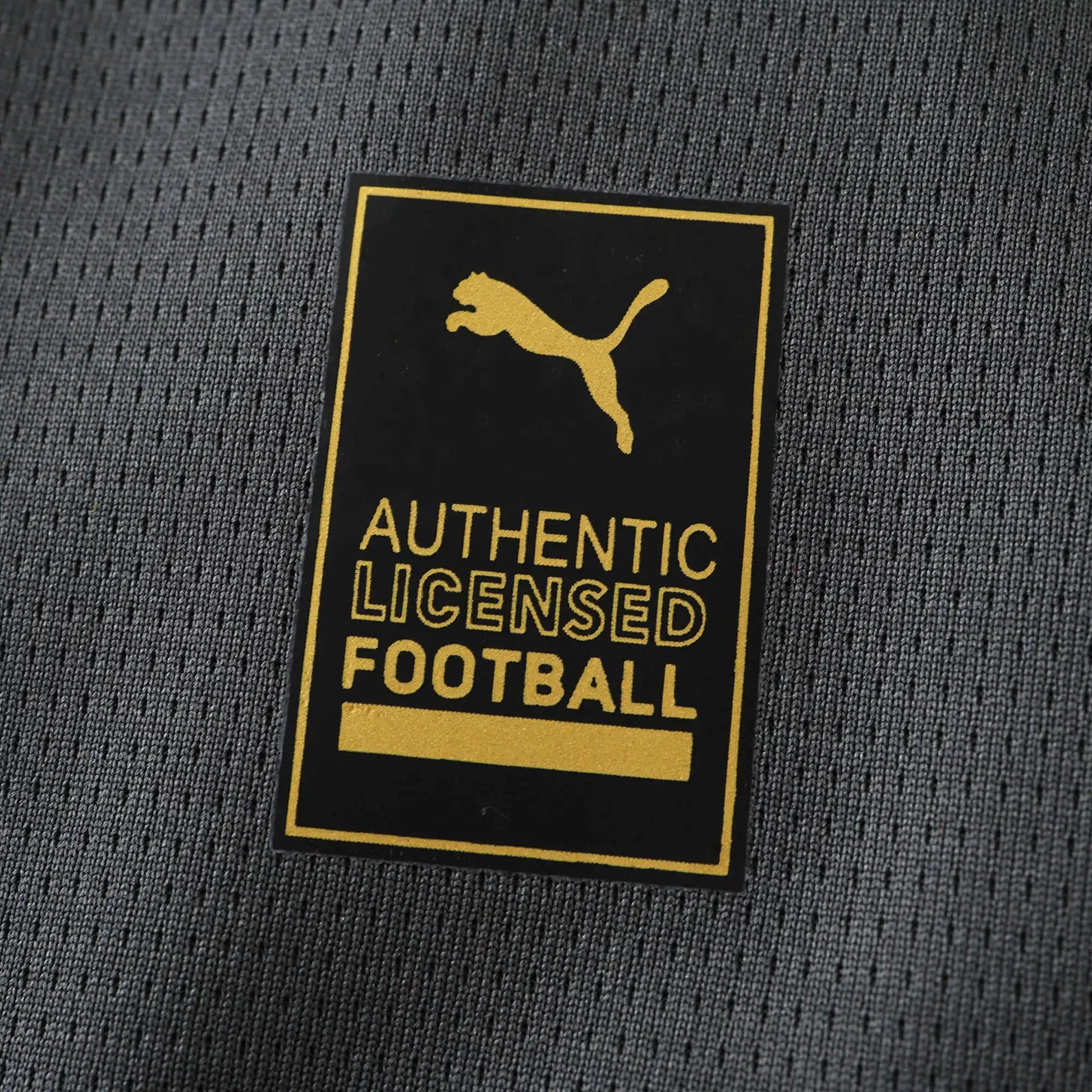 24-25 AC Milan Extérieur (Fan Edition)