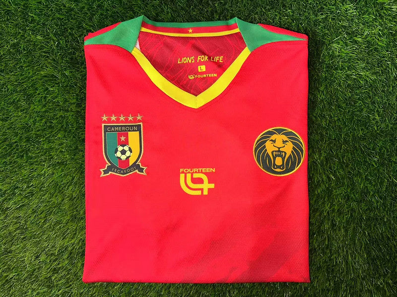 25-26 Cameroun Extérieur (fan version)