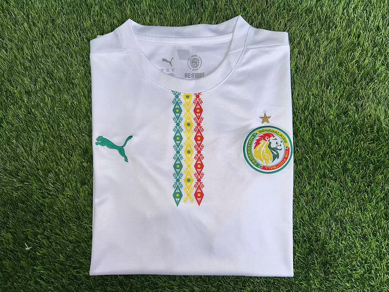 24-25 Sénégal Domicile (fan version)